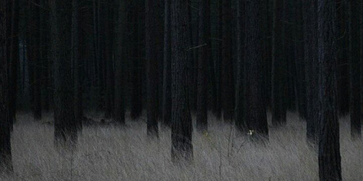 emibalmacedaa's profile banner image