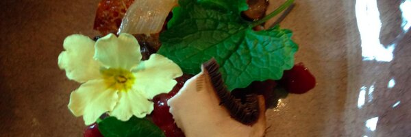 SecretDiner1 Profile Banner