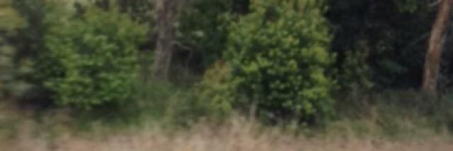 blueashalsey's profile banner image