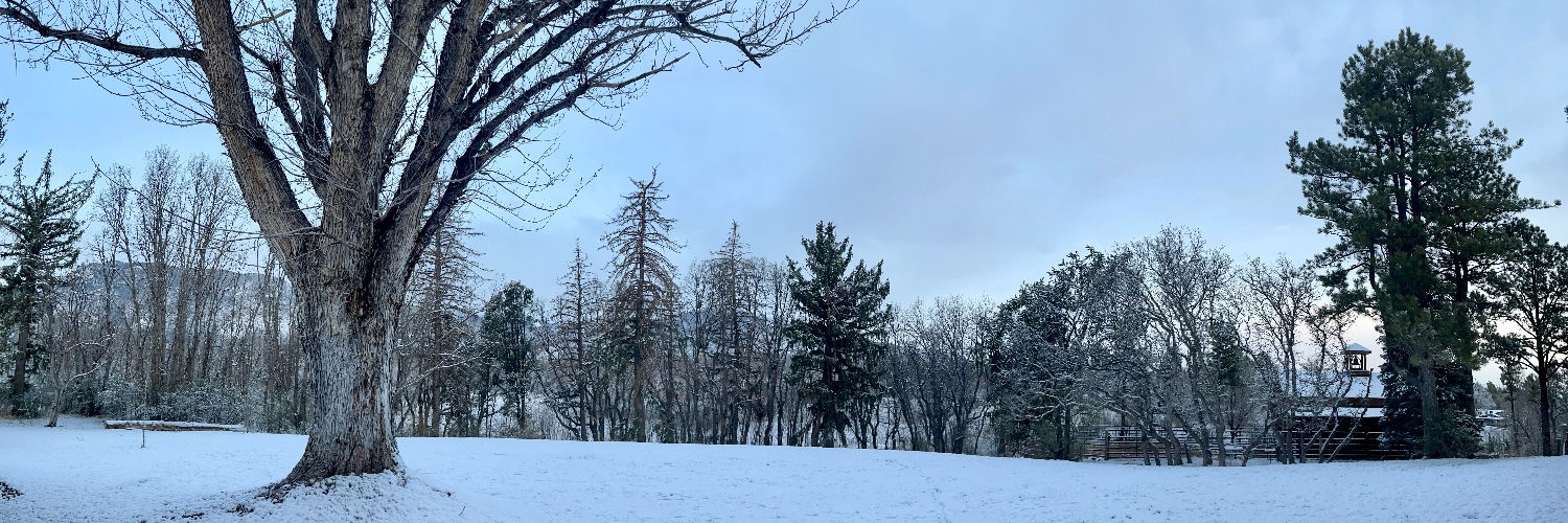 Tom Dalsaso, Jr. banner