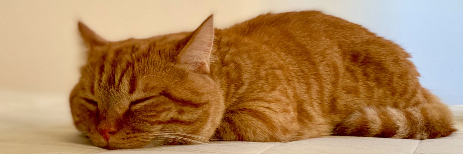 弁護士井垣孝之(法務アウトソーシング) banner