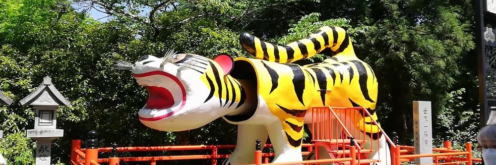 TravelTanuki's profile banner image