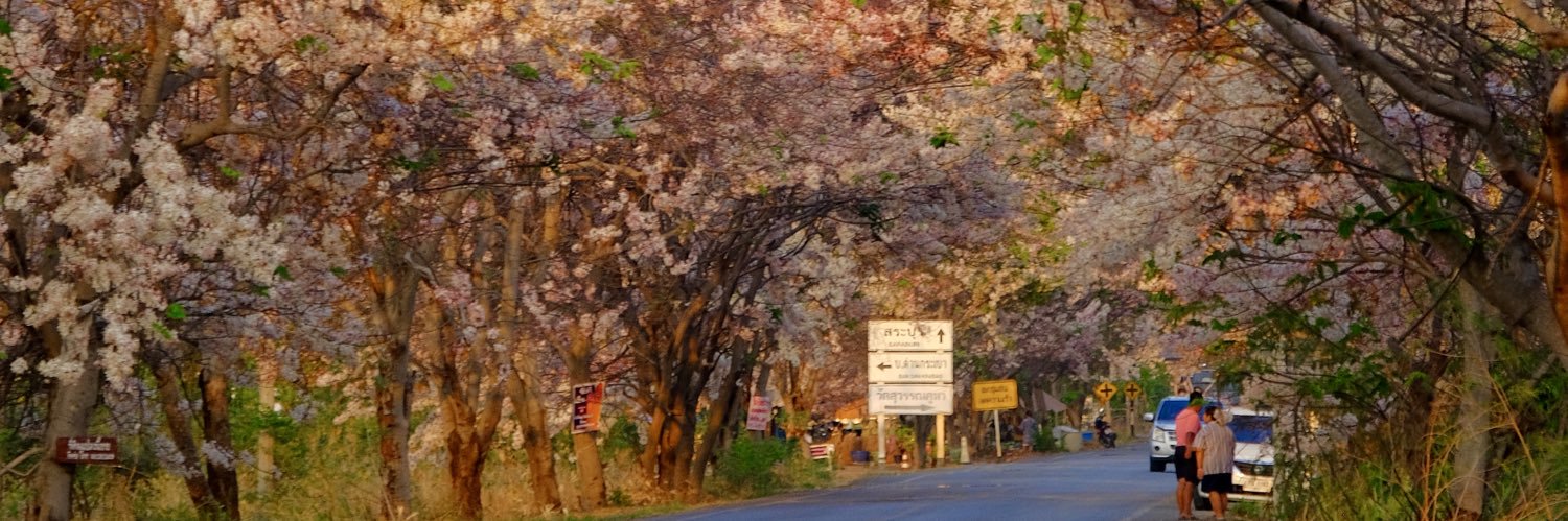 MaxYourLife banner