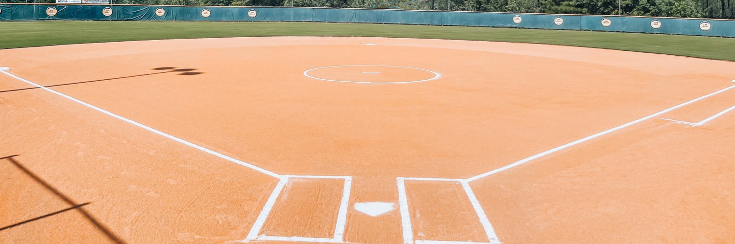 ELCA Softball banner
