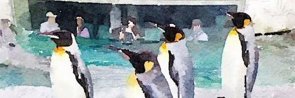 peggah's profile banner image