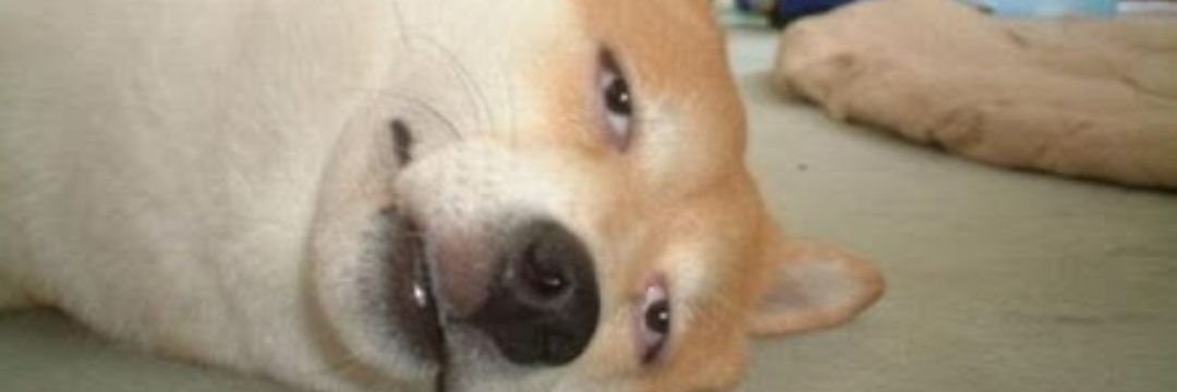 _Jhefferson's profile banner image