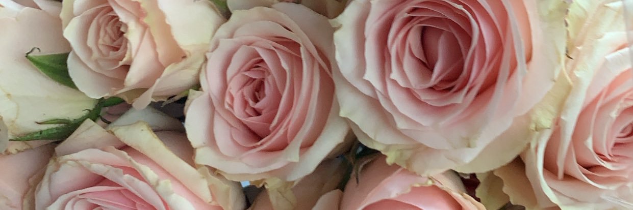 hello_kissy's profile banner image