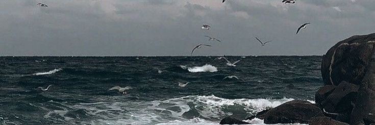 RHEA banner
