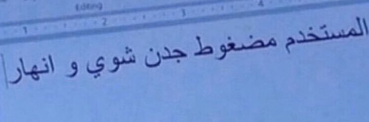 L🌻 banner