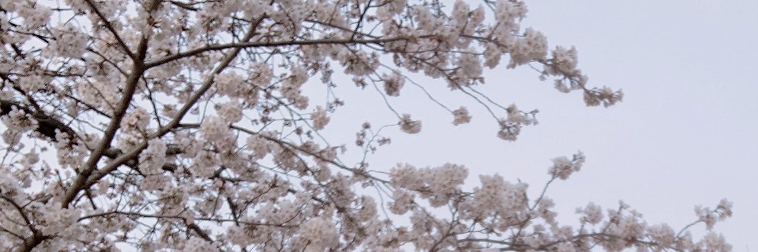 _maaaaaaaaam_'s profile banner image