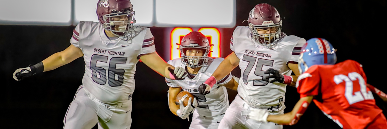 D1 Sports Photography banner