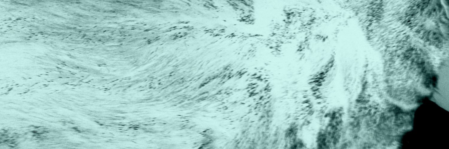 iihto's profile banner image