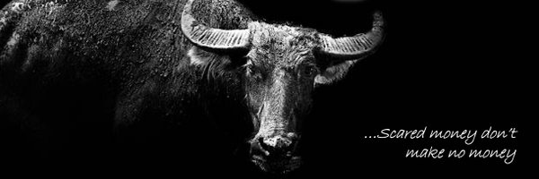 MM72token Profile Banner