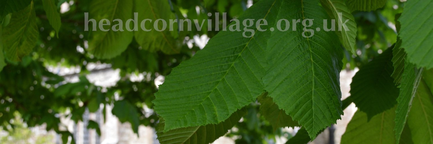 Headcorn Village banner