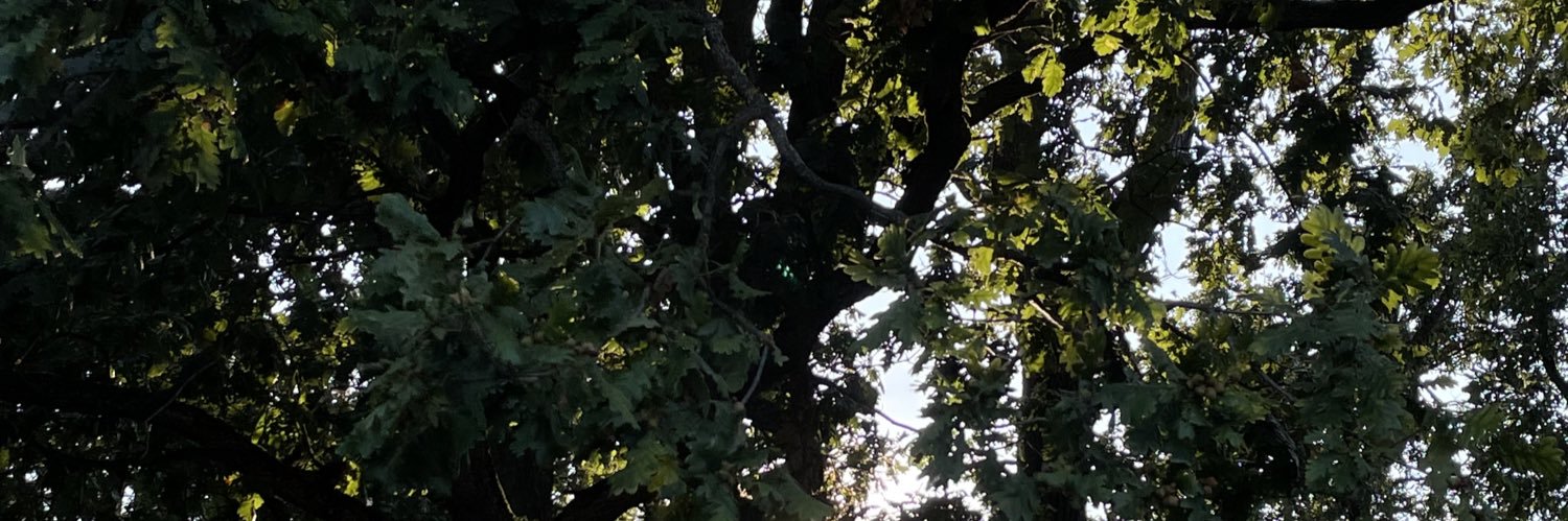 cakicmatejaa's profile banner image