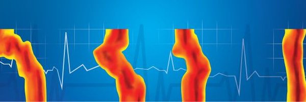 MirekNavratil1 Profile Banner