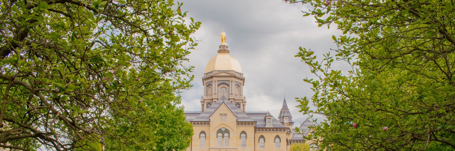 Merlot Fogarty banner