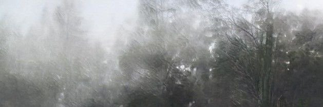 vialrot's profile banner image