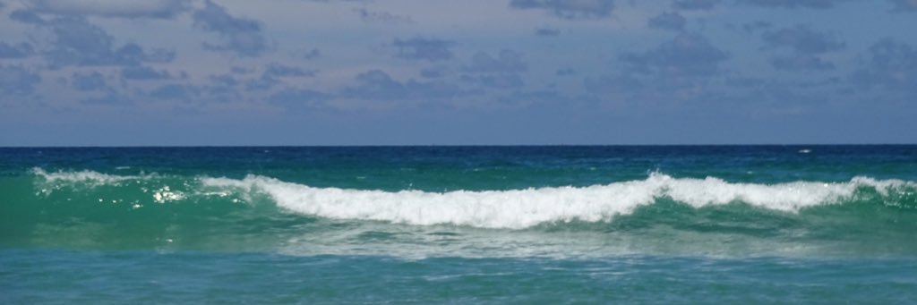 Nicole Bakker banner