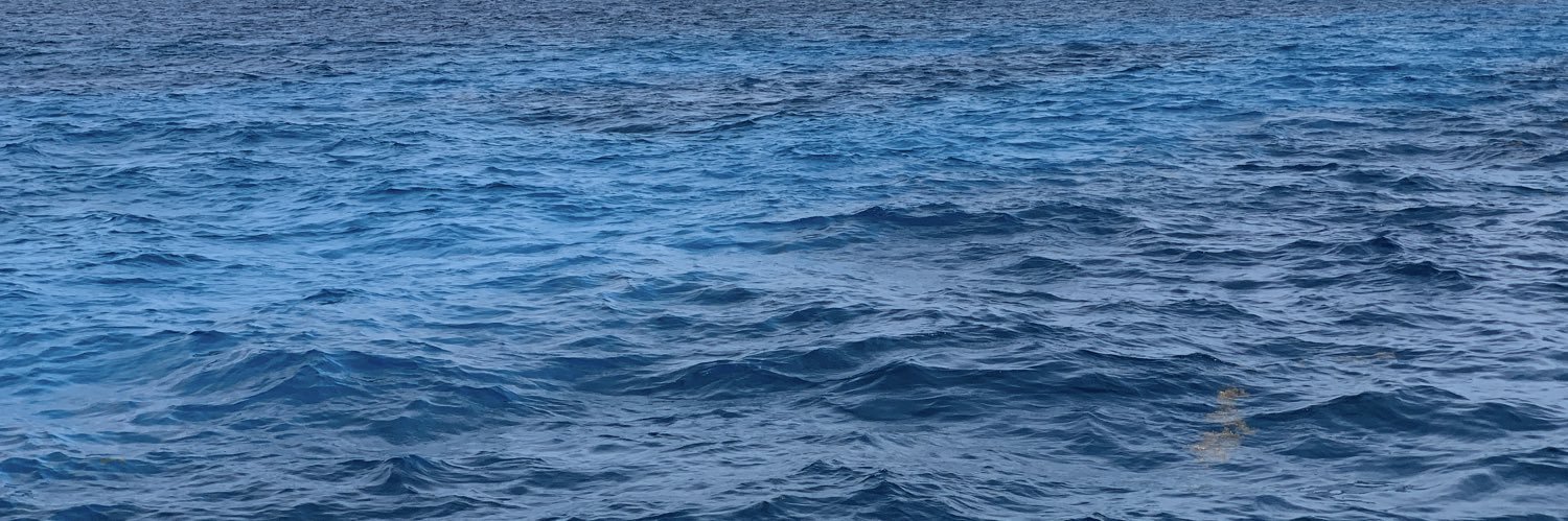 zenoran's profile banner image