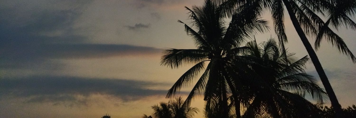 simasimi22's profile banner image