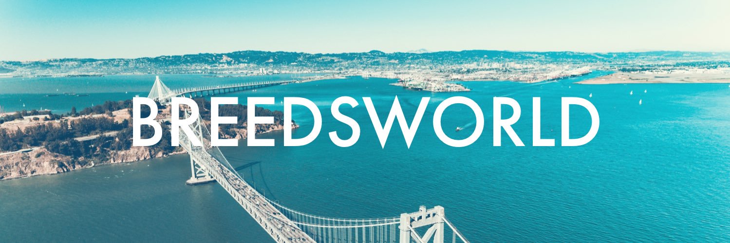 Ⓑ Ⓡ Ⓔ Ⓔ Ⓓ Ⓢ Ⓦ Ⓞ Ⓡ Ⓛ Ⓓ banner