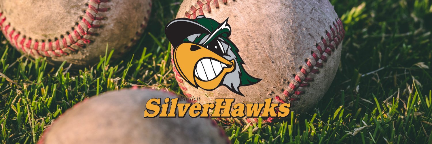 Bartlett SilverHawks banner