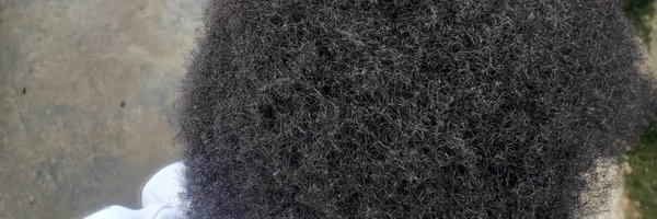 fryomark Profile Banner