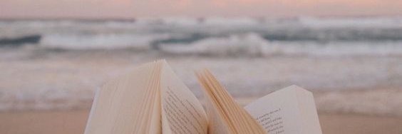 AV Ray wrote a book! again! banner
