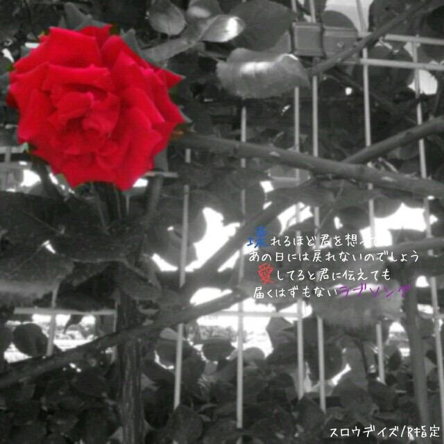 Sr__sT's profile banner image