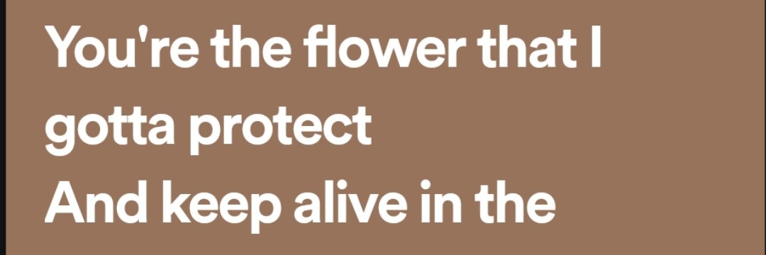 Flowerloom's profile banner image