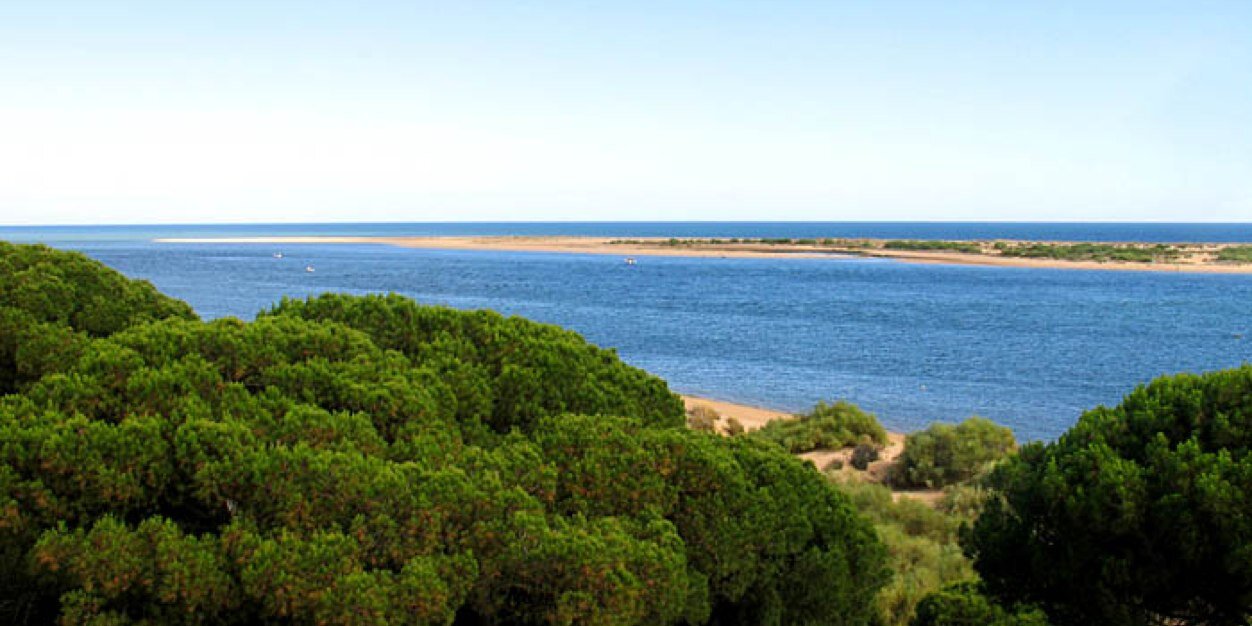 maparraless's profile banner image