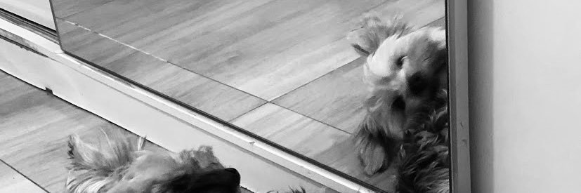 _yas_fer's profile banner image