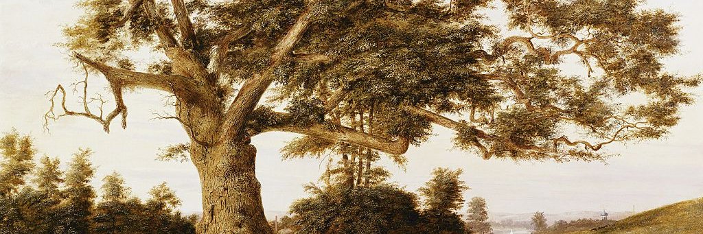 Robin Appleby MD banner