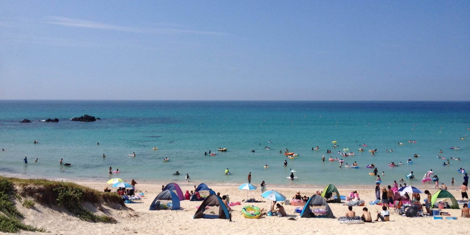 ぶーちゃん banner