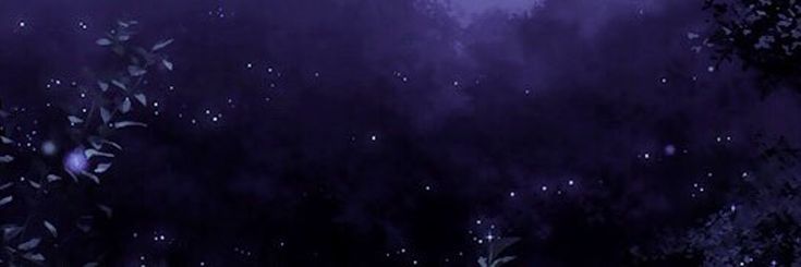 mayumi 🦋 banner