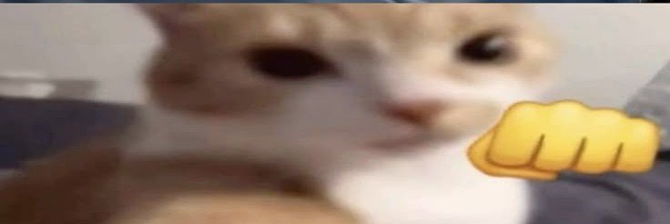 wyoohgle's profile banner image