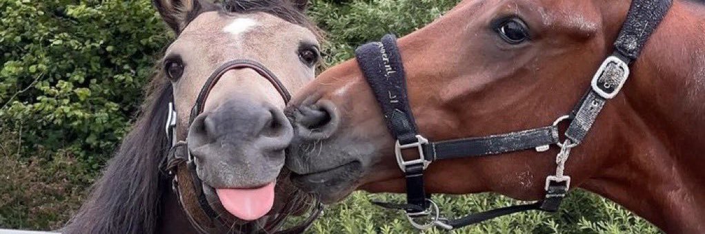 azizah ˖ ݁𖥔 ݁˖ 𐙚 banner