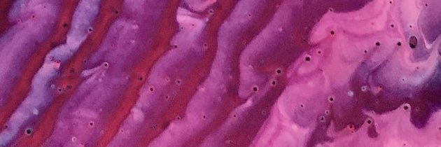 Carla Stone banner