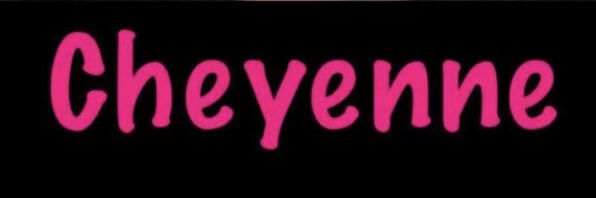 Cheyenne Hawk banner