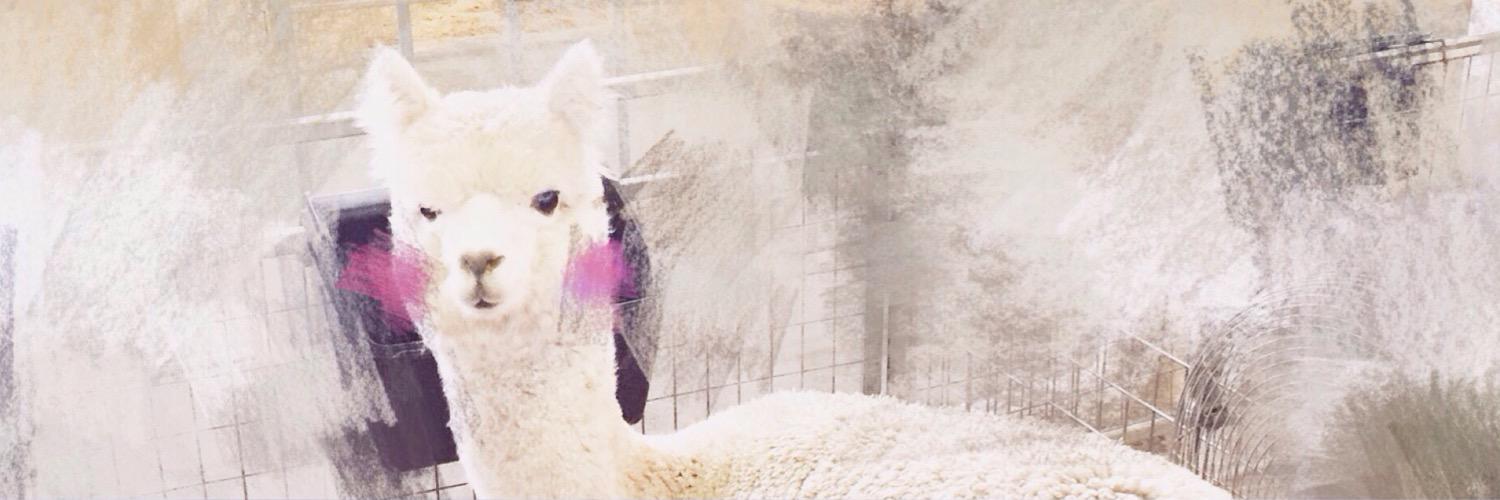 LuciaYCLin's profile banner image