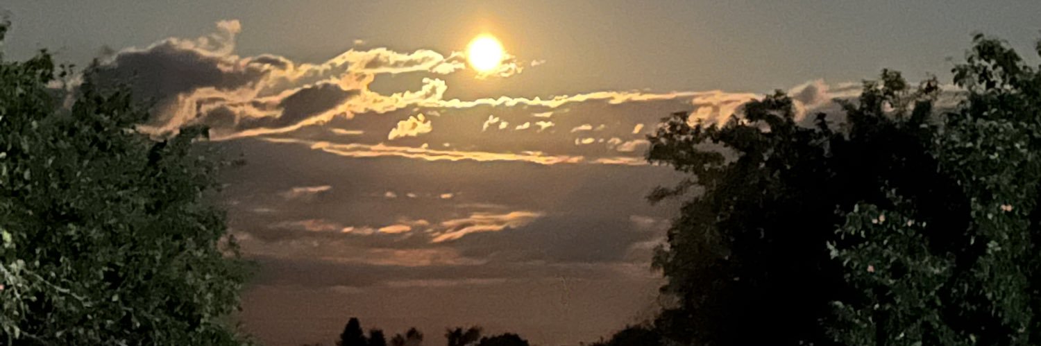 Dominique🇨🇦 banner