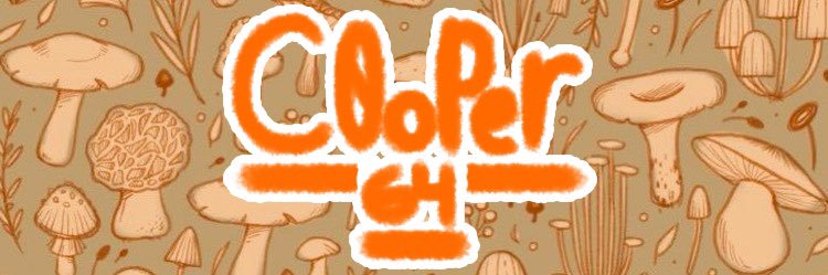 C0oper64🍉🏳️‍🌈 (COMMS OPEN)'s banner