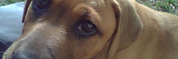 iamnemesis666's profile banner image