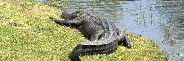 KMbecause Profile Banner