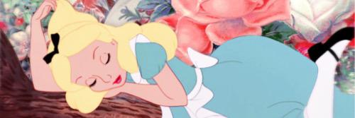 caitidynamite's profile banner image