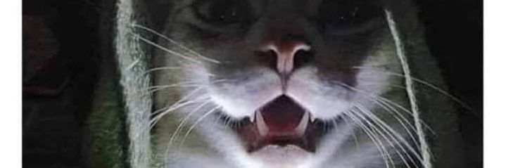 KillMeINeedtheMoney Jones banner