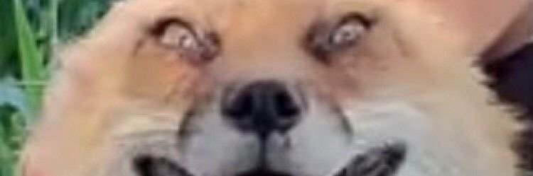 simthitachi's profile banner image