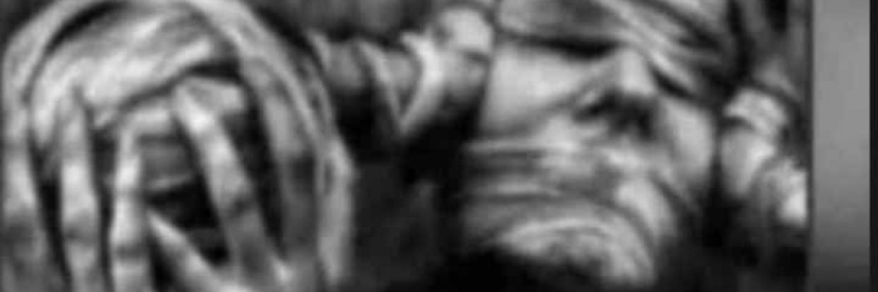 renoyesco's profile banner image