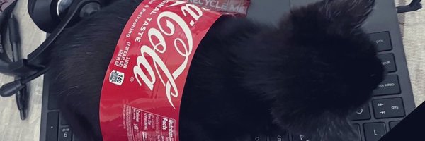 eitoaotsukisuki Profile Banner